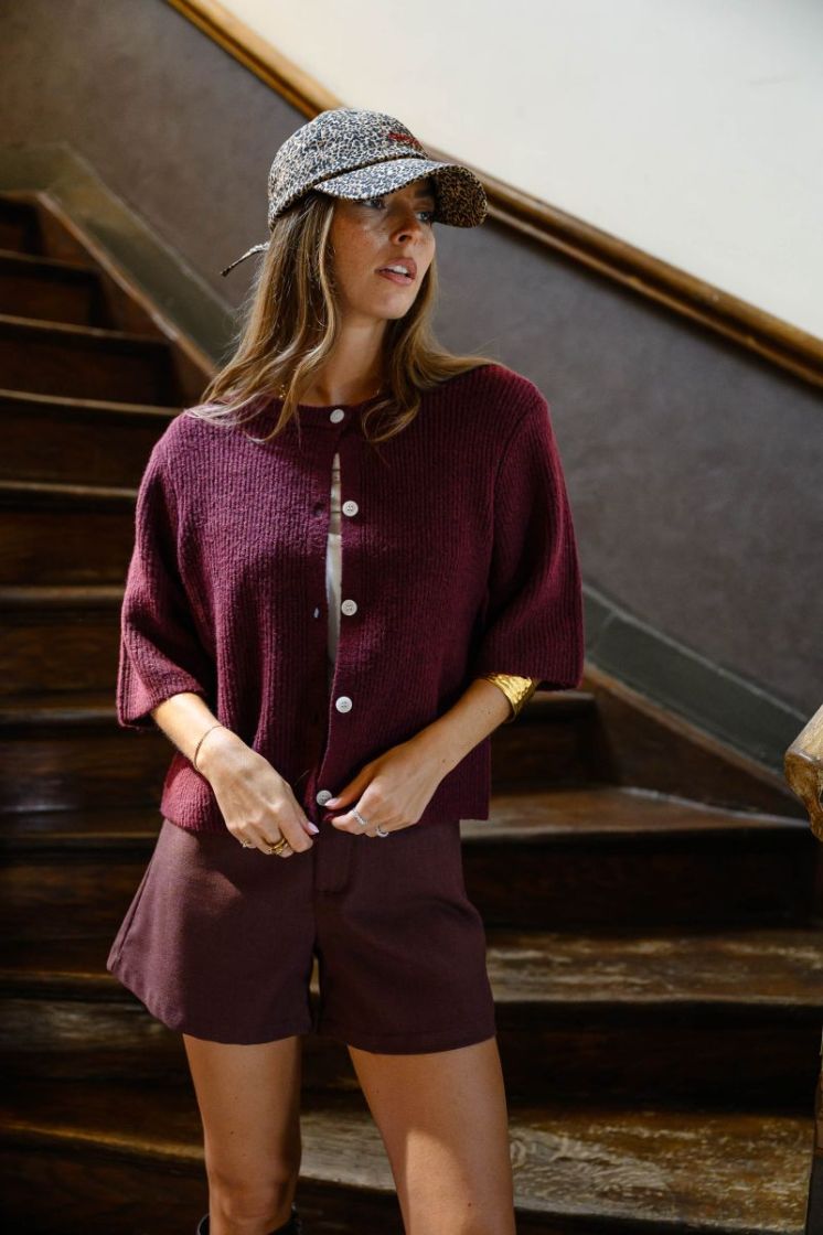 PCSILLY SS O-NECK KNIT CARDIGA 188938001 Tawny