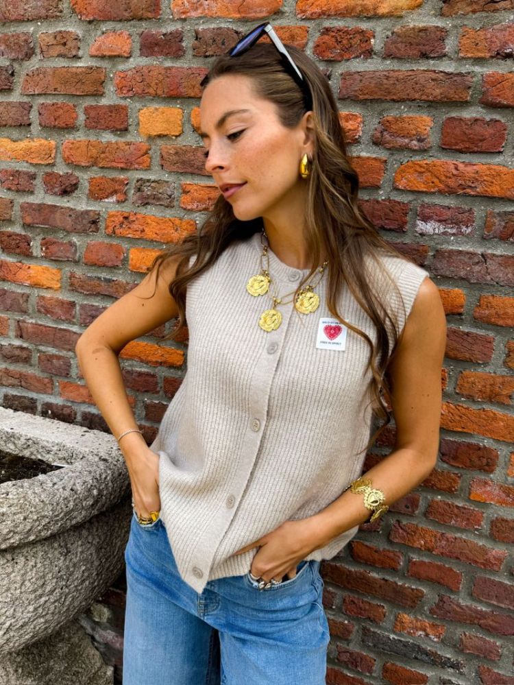 PCSILLY SL PATCH KNIT VEST BC 286939001 Silve