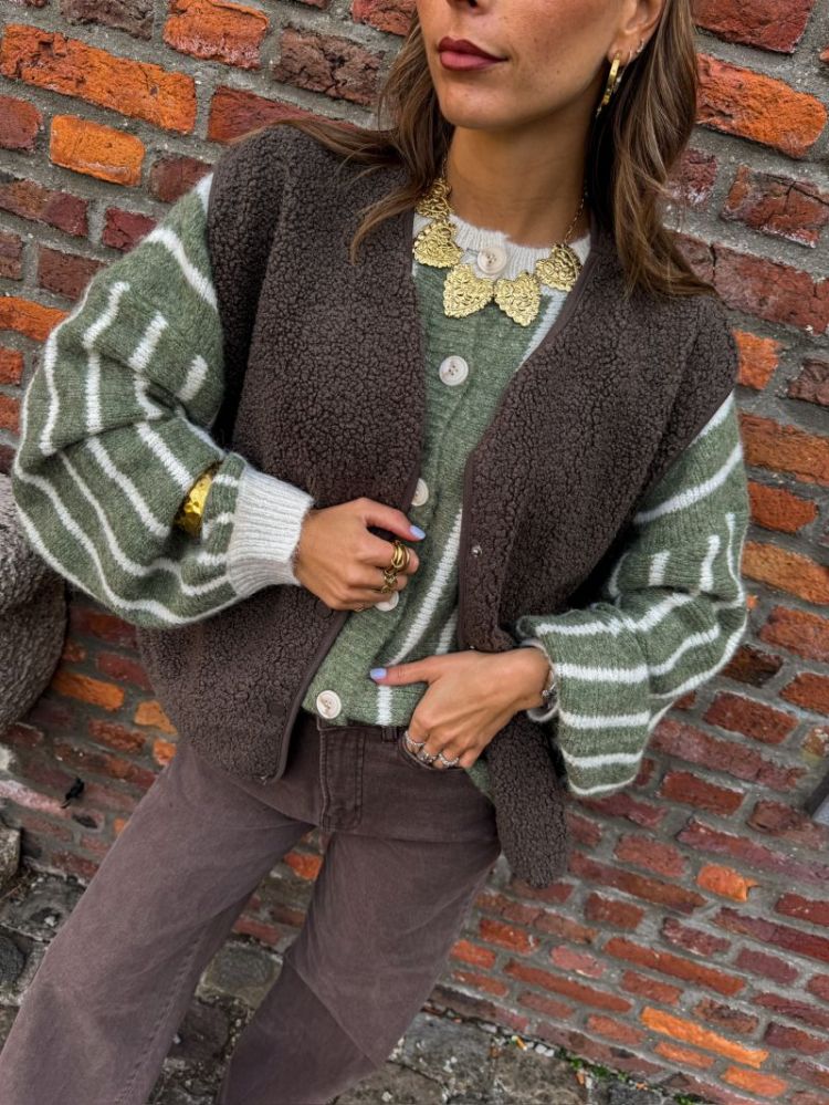 PCKATTY TEDDY VEST NOOS BC 294398 Morel