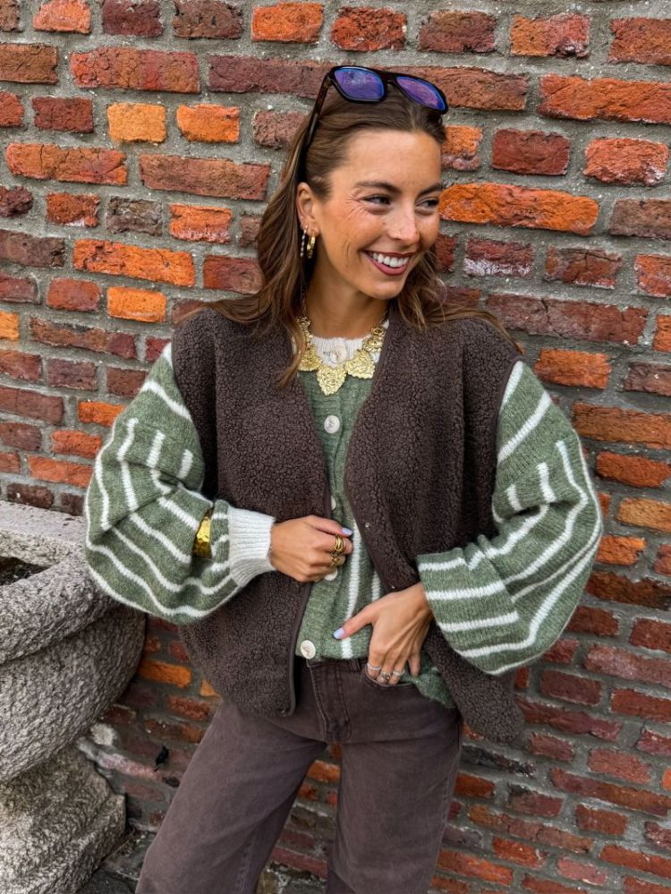 PCKATTY TEDDY VEST NOOS BC 294398 Morel