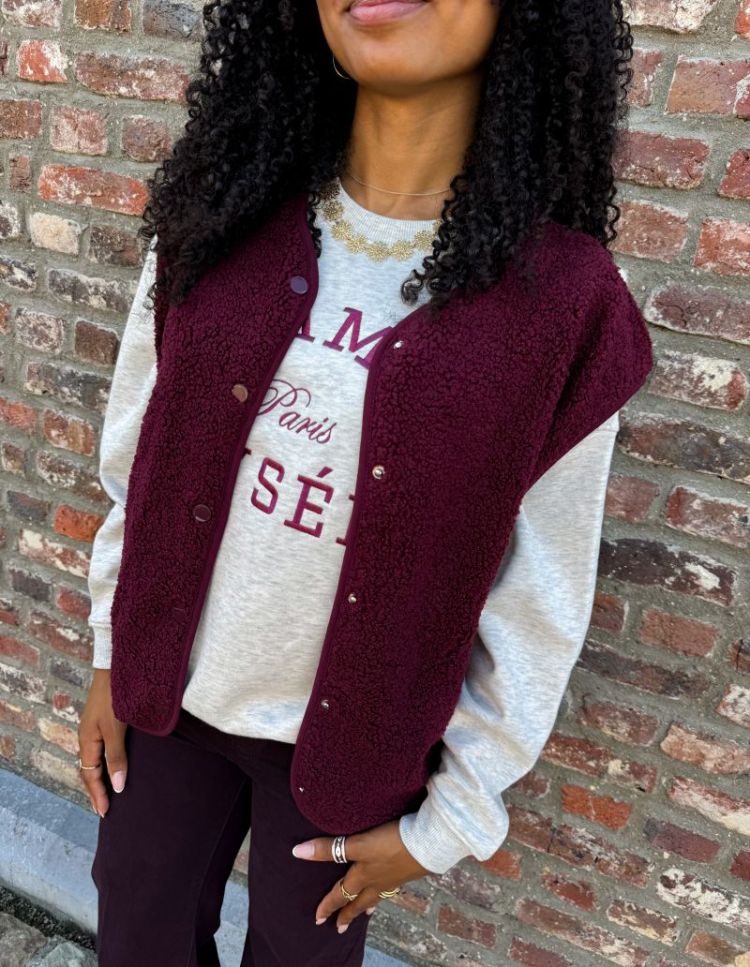 PCKATTY TEDDY VEST NOOS BC 188938 Tawny Po