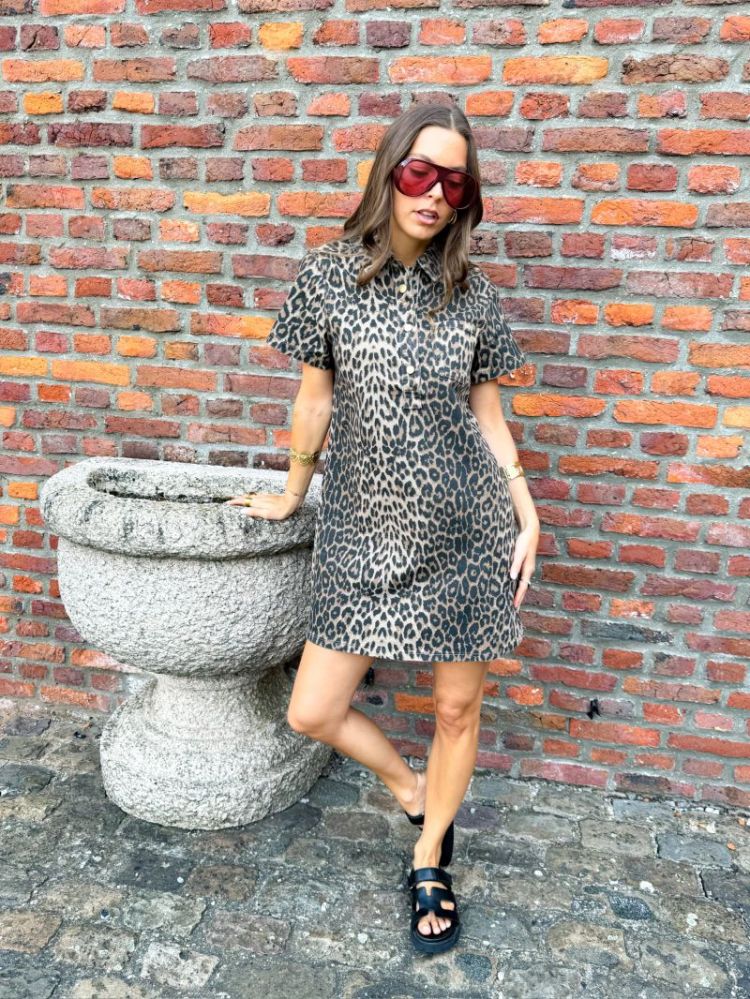  LEOPARD