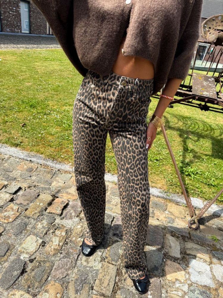  LEOPARD
