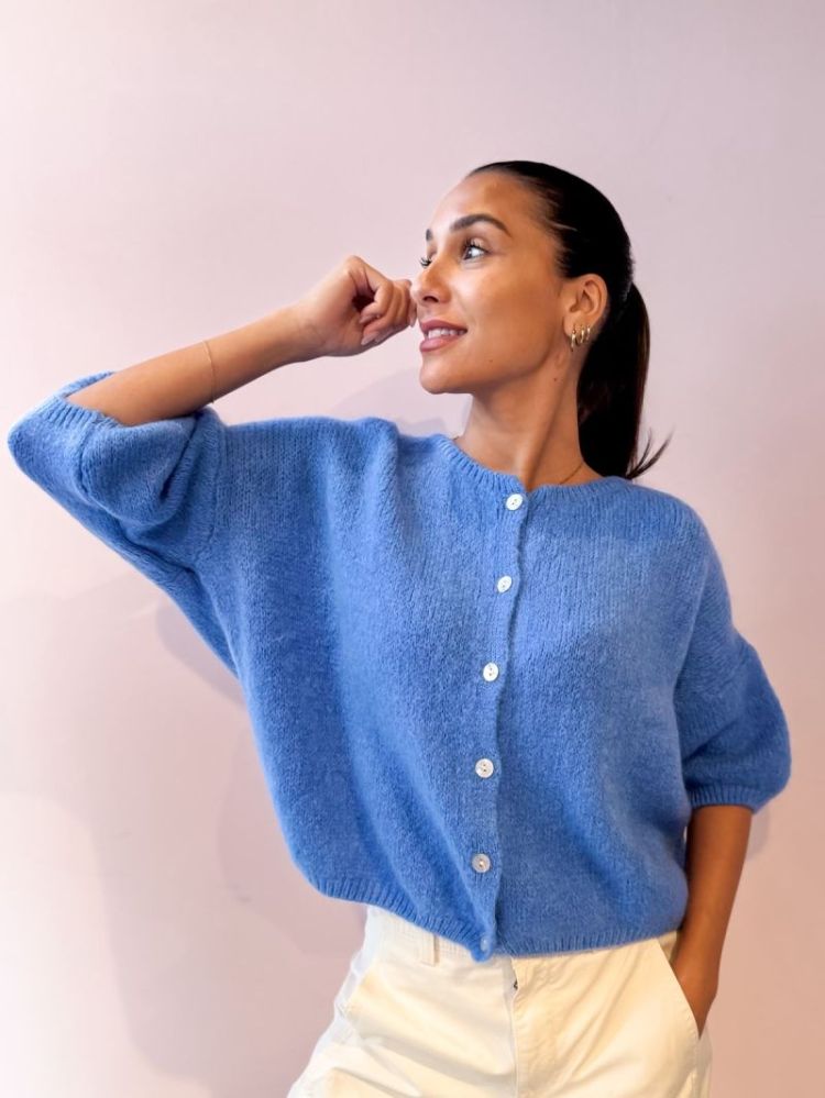  BLEU