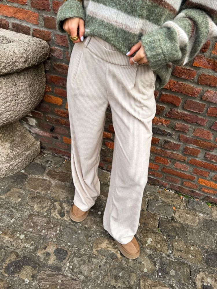 JDYGEGGO CORD PANT JRS NOOS 189959 Pumice S