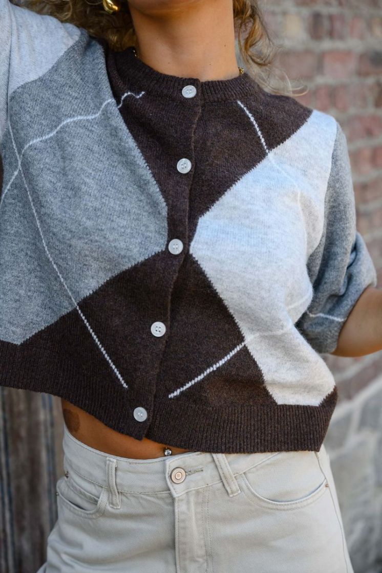 PCSALLY SS KNIT CHECK CARDIGAN 302664002 Hot F