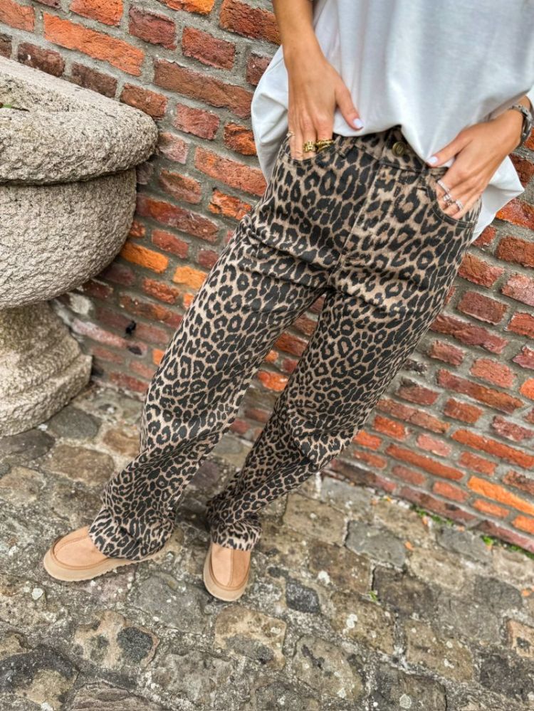 LEOPARD