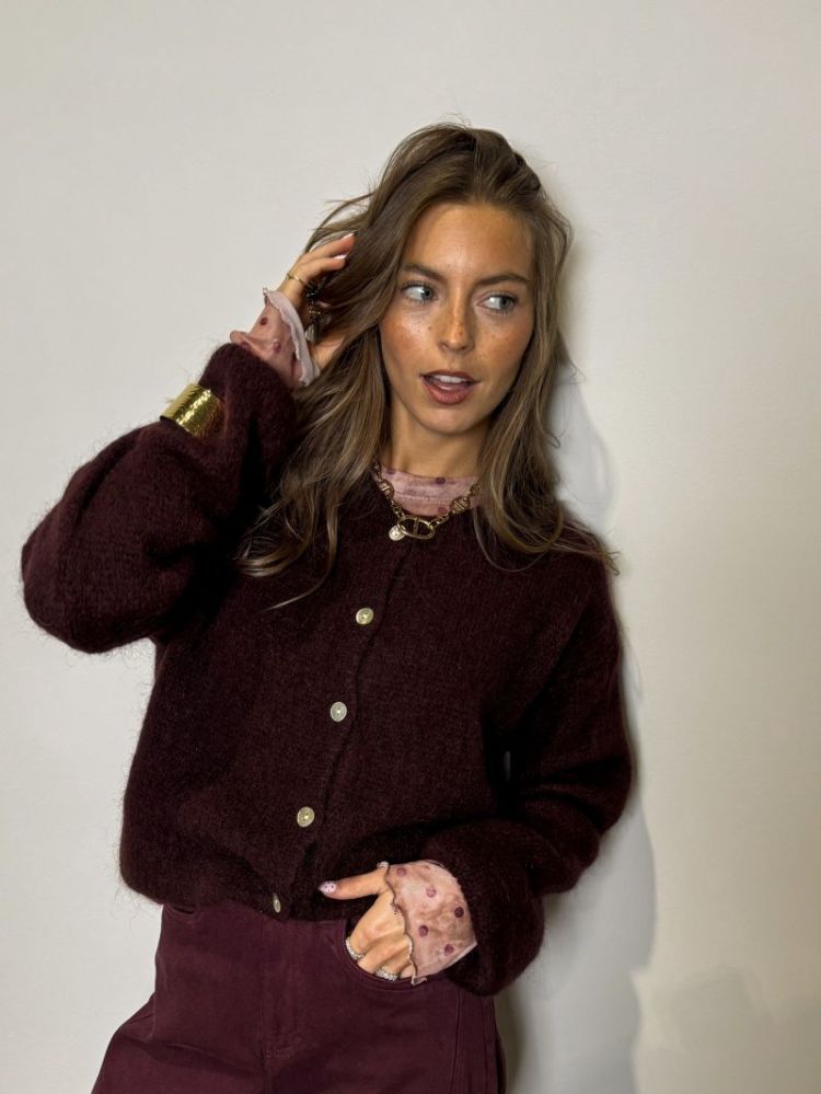  PRUNE FONCE
