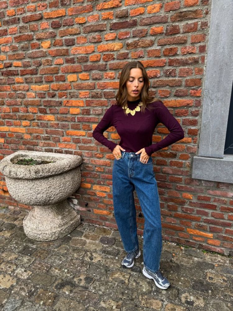  DENIMX